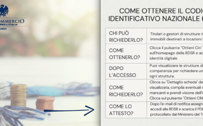 Codice Identificativo Nazionale (CIN)