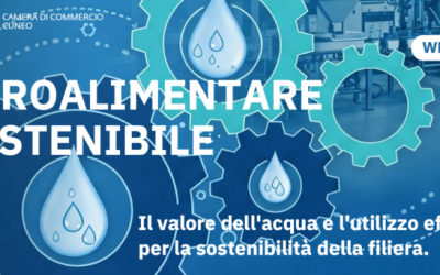 Webinar: Agroalimentare sostenibile – Il valore dell’acqua e l’uso efficiente nella filiera