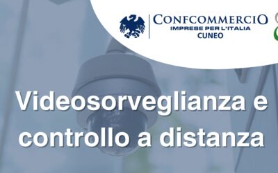 Videosorveglianza e controllo a distanza dei lavoratori: obblighi e assistenza per le imprese