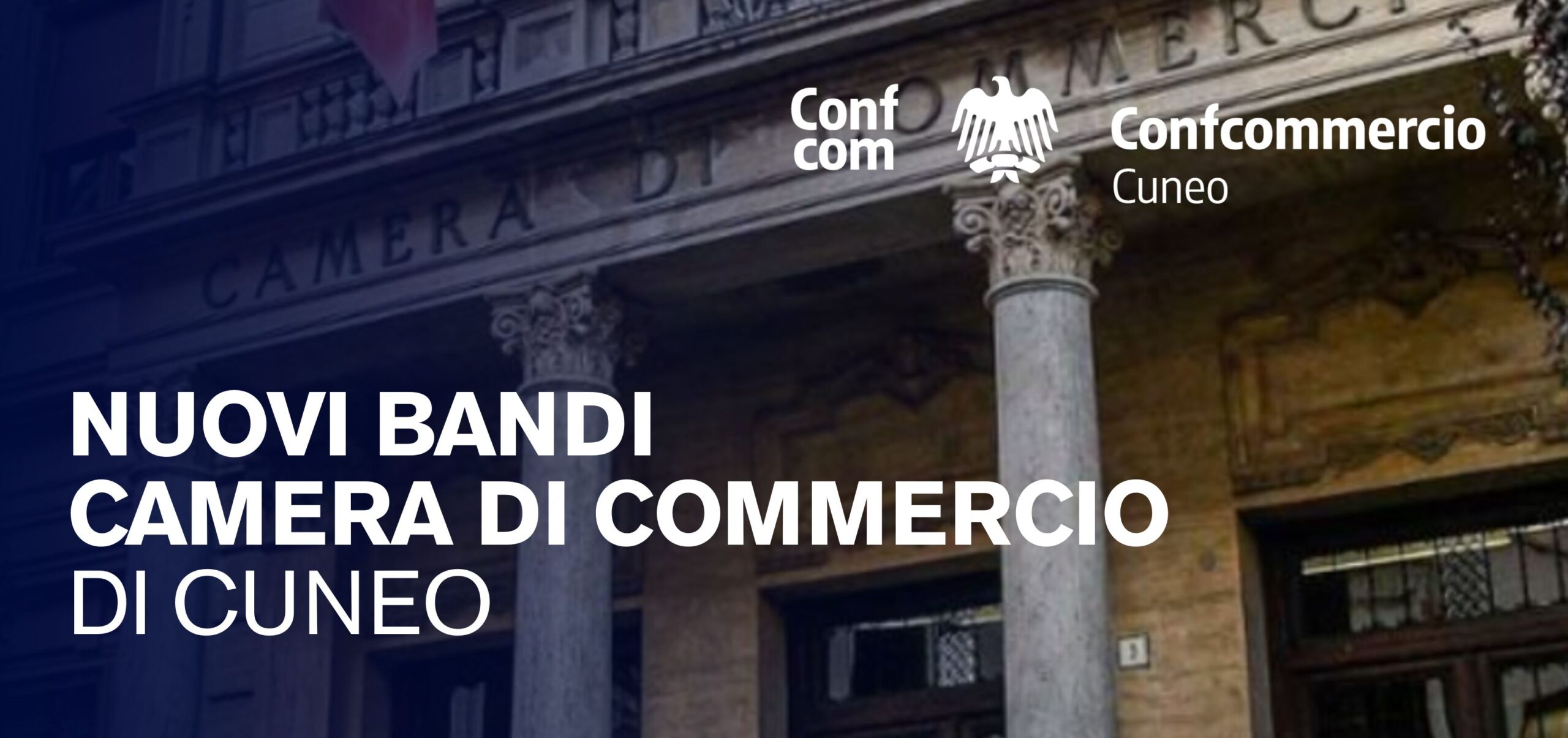 Copia di C (850 x 400 mm) – 6